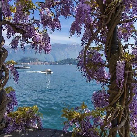 Casa Lisetta